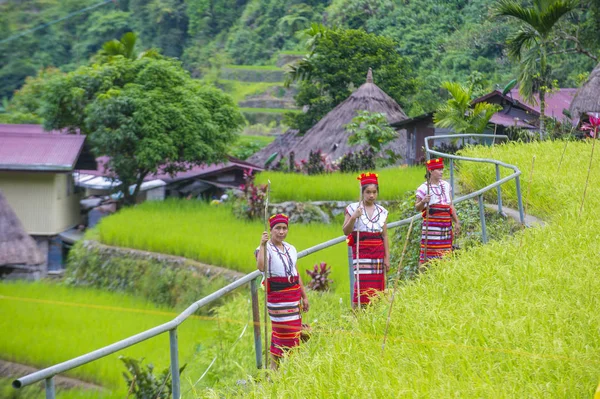 Banaue Φιλιππίνες Μαϊ Γυναίκες Από Ifugao Μειονότητα Κοντά Ένα Ρύζι — Φωτογραφία Αρχείου