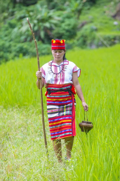 Banaue Filippinerna May Kvinna Från Ifugao Minoritet Nära Risterrasser Banaue — Stockfoto