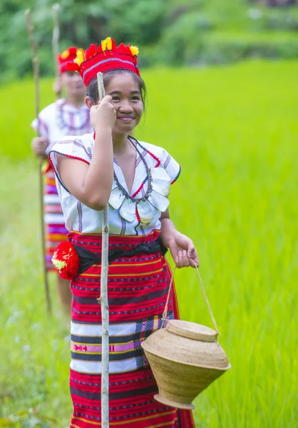Banaue Filipiny Maja Kobiety Mniejszości Ifugao Pobliżu Tarasy Ryżowe Banaue — Zdjęcie stockowe
