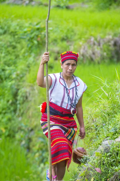 Banaue, Filipinler - Mayıs 02: Kadından Ifugao pirinç terasları Banaue Türkiye üzerinde 02 Mayıs 2018 yılında yakınındaki azınlık. Kuzey Filipinler dağların çoğunlukla canlı Ifugao azınlık