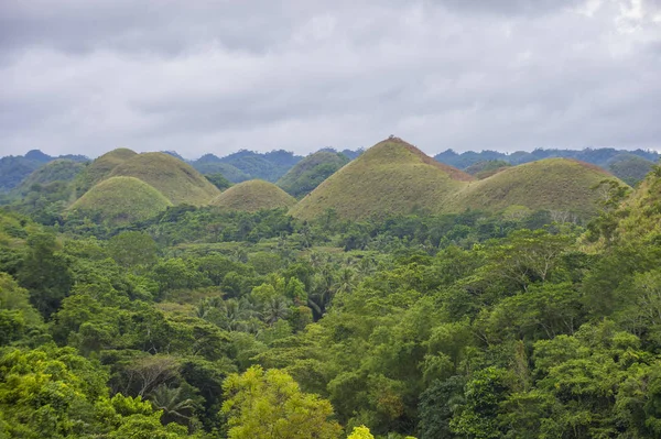 Chocolate Hills Bohol Saari Filippiinit — kuvapankkivalokuva