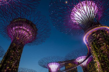 Singapur - 22 Şubat: Singapur Februery 22 2018 üzerinde Bay tarafından bahçelerde Supertrees. Ağaçlar farklı renklerle aydınlatılmış bir müzik ve ışık gösterisi olmasıdır
