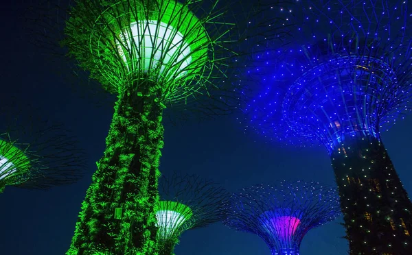 Singapur Lut Supertrees Ogrodach Nad Zatoką Singapurze Februery 2018 Spektakl — Zdjęcie stockowe