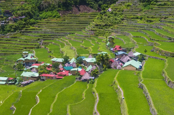 Vista Dos Campos Terraços Arroz Banaue Filipinas Terraços Arroz Banaue — Fotografia de Stock