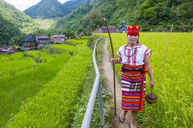 Banaue, Filipinler - Mayıs 02: Kadından Ifugao pirinç terasları Banaue Türkiye üzerinde 02 Mayıs 2018 yılında yakınındaki azınlık. Kuzey Filipinler dağların çoğunlukla canlı Ifugao azınlık