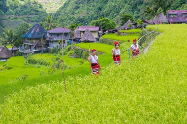 Banaue, Filipinler - Mayıs 02: Azınlık Ifugao pirinç terasları Banaue Türkiye üzerinde 02 Mayıs 2018 yılında yakınındaki kadınlar. Kuzey Filipinler dağların çoğunlukla canlı Ifugao azınlık