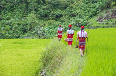Banaue, Filipinler - Mayıs 02: Azınlık Ifugao pirinç terasları Banaue Türkiye üzerinde 02 Mayıs 2018 yılında yakınındaki kadınlar. Kuzey Filipinler dağların çoğunlukla canlı Ifugao azınlık