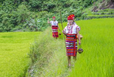 Banaue, Filipinler - Mayıs 02: Azınlık Ifugao pirinç terasları Banaue Türkiye üzerinde 02 Mayıs 2018 yılında yakınındaki kadınlar. Kuzey Filipinler dağların çoğunlukla canlı Ifugao azınlık