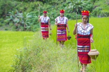 Banaue, Filipinler - Mayıs 02: Azınlık Ifugao pirinç terasları Banaue Türkiye üzerinde 02 Mayıs 2018 yılında yakınındaki kadınlar. Kuzey Filipinler dağların çoğunlukla canlı Ifugao azınlık