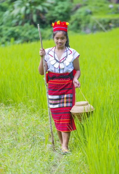 Banaue Philippinen Mai Frau Der Ifugao Minderheit Der Nähe Einer — Stockfoto