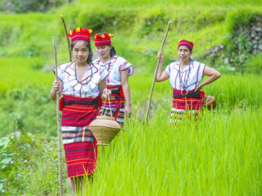 Banaue, Filipinler - Mayıs 02: Azınlık Ifugao pirinç terasları Banaue Türkiye üzerinde 02 Mayıs 2018 yılında yakınındaki kadınlar. Kuzey Filipinler dağların çoğunlukla canlı Ifugao azınlık