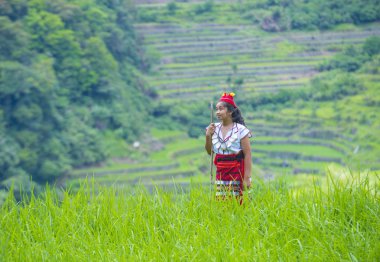 Banaue, Filipinler - Mayıs 02: Kadından Ifugao pirinç terasları Banaue Türkiye üzerinde 02 Mayıs 2018 yılında yakınındaki azınlık. Kuzey Filipinler dağların çoğunlukla canlı Ifugao azınlık