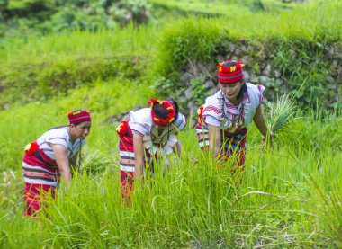 Banaue, Filipinler - Mayıs 02: Azınlık Ifugao pirinç terasları Banaue Türkiye üzerinde 02 Mayıs 2018 yılında yakınındaki kadınlar. Kuzey Filipinler dağların çoğunlukla canlı Ifugao azınlık