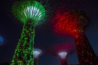 Singapur - 22 Şubat: Singapur Februery 22 2018 üzerinde Bay tarafından bahçelerde Supertrees. Ağaçlar farklı renklerle aydınlatılmış bir müzik ve ışık gösterisi olmasıdır