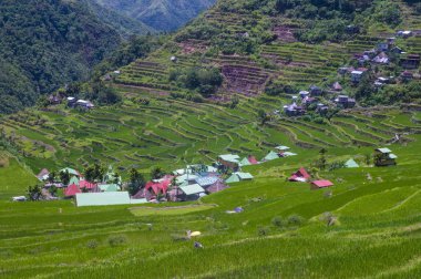 Pirinç terasları alanları Banaue, Filipinler görünümünü. Banaue rice terraces 1995 yılından bu yana UNESCO Dünya Miras listesi vardır