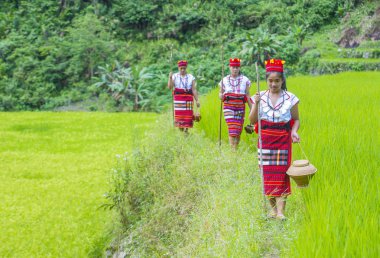 Banaue, Filipinler - Mayıs 02: Azınlık Ifugao pirinç terasları Banaue Türkiye üzerinde 02 Mayıs 2018 yılında yakınındaki kadınlar. Kuzey Filipinler dağların çoğunlukla canlı Ifugao azınlık