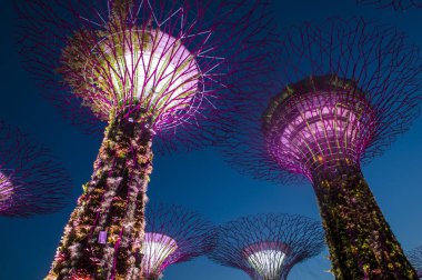 Singapur - 22 Şubat: Singapur Februery 22 2018 üzerinde Bay tarafından bahçelerde Supertrees. Ağaçlar farklı renklerle aydınlatılmış bir müzik ve ışık gösterisi olmasıdır