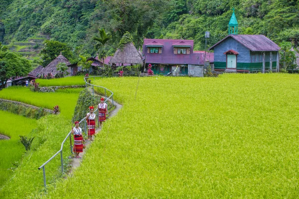 Banaue Φιλιππίνες Μαϊ Γυναίκες Από Ifugao Μειονότητα Κοντά Ένα Ρύζι — Φωτογραφία Αρχείου