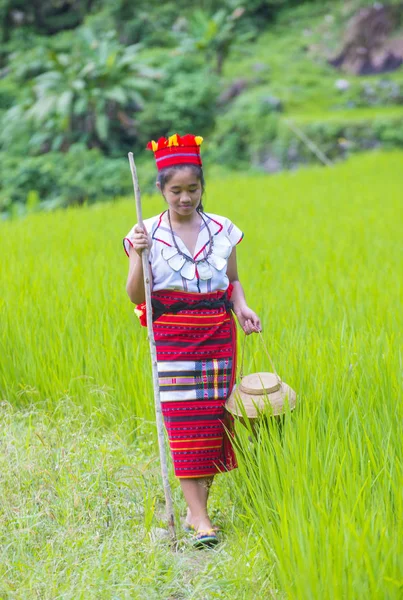 Banaue Philippinen Mai Frau Der Ifugao Minderheit Der Nähe Einer — Stockfoto