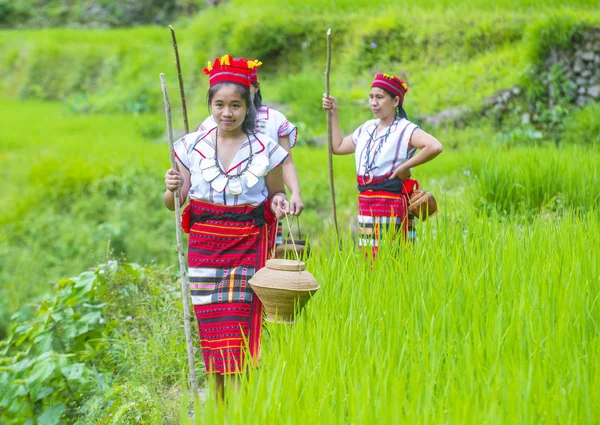 Banaue Philippinen Mai Frauen Der Ifugao Minderheit Der Nähe Einer — Stockfoto