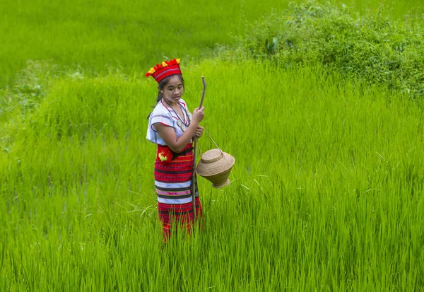 Banaue Philippines May Woman Ifugao Minority Rice Terraces Banaue Philippines — Stock Photo, Image