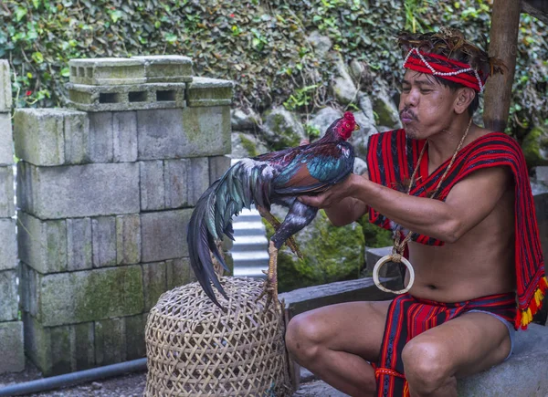 Banaue Filippijnen Mei Portret Van Een Man Van Ifugao Minderheid — Stockfoto