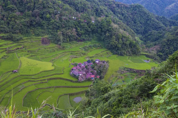 Vista Campos Terrazas Arroz Banaue Filipinas Las Terrazas Arroz Banaue — Foto de Stock