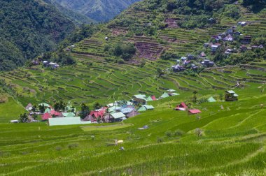 Pirinç terasları alanları Banaue, Filipinler görünümünü. Banaue rice terraces 1995 yılından bu yana UNESCO Dünya Miras listesi vardır