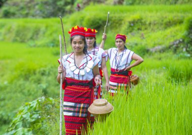 Banaue, Filipinler - Mayıs 02: Azınlık Ifugao pirinç terasları Banaue Türkiye üzerinde 02 Mayıs 2018 yılında yakınındaki kadınlar. Kuzey Filipinler dağların çoğunlukla canlı Ifugao azınlık