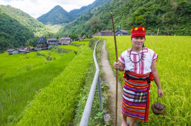Banaue, Filipinler - Mayıs 02: Kadından Ifugao pirinç terasları Banaue Türkiye üzerinde 02 Mayıs 2018 yılında yakınındaki azınlık. Kuzey Filipinler dağların çoğunlukla canlı Ifugao azınlık