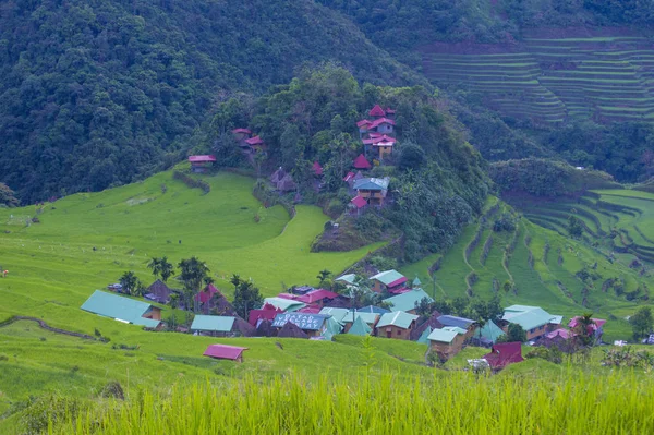 Vista Dos Campos Terraços Arroz Banaue Filipinas Terraços Arroz Banaue — Fotografia de Stock