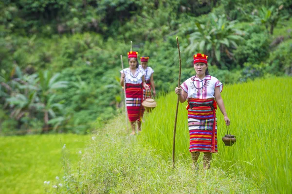 Banaue, Filipinler - Mayıs 02: Azınlık Ifugao pirinç terasları Banaue Türkiye üzerinde 02 Mayıs 2018 yılında yakınındaki kadınlar. Kuzey Filipinler dağların çoğunlukla canlı Ifugao azınlık