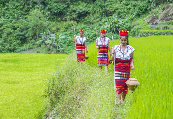 Banaue, Filipinler - Mayıs 02: Azınlık Ifugao pirinç terasları Banaue Türkiye üzerinde 02 Mayıs 2018 yılında yakınındaki kadınlar. Kuzey Filipinler dağların çoğunlukla canlı Ifugao azınlık