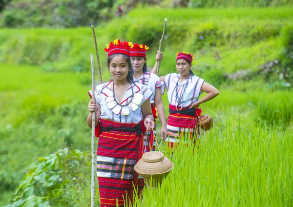 Banaue, Filipinler - Mayıs 02: Azınlık Ifugao pirinç terasları Banaue Türkiye üzerinde 02 Mayıs 2018 yılında yakınındaki kadınlar. Kuzey Filipinler dağların çoğunlukla canlı Ifugao azınlık