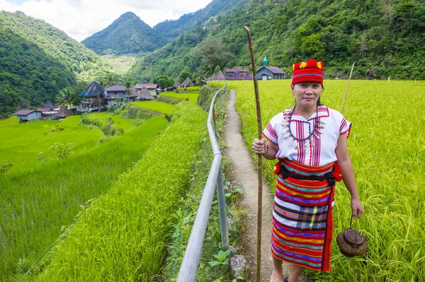Banaue, Filipinler - Mayıs 02: Kadından Ifugao pirinç terasları Banaue Türkiye üzerinde 02 Mayıs 2018 yılında yakınındaki azınlık. Kuzey Filipinler dağların çoğunlukla canlı Ifugao azınlık