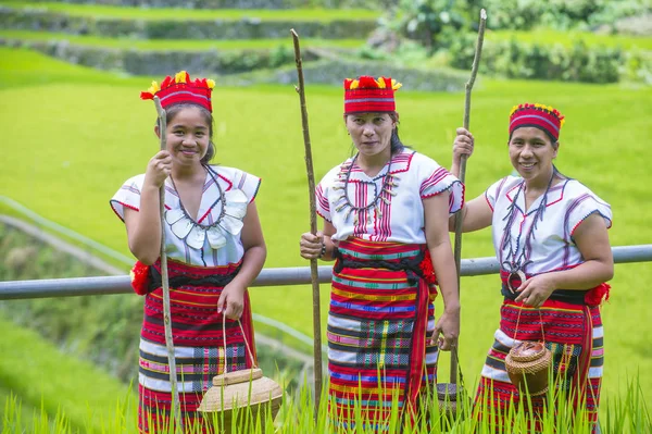 Банауэ Филиппинес Мая Женщины Меньшинства Ифугао Возле Рисовых Террас Банауэ — стоковое фото