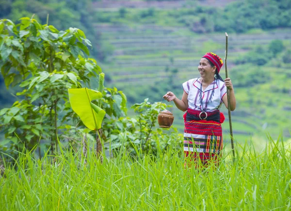 Banaue, Filipinler - Mayıs 02: Kadından Ifugao pirinç terasları Banaue Türkiye üzerinde 02 Mayıs 2018 yılında yakınındaki azınlık. Kuzey Filipinler dağların çoğunlukla canlı Ifugao azınlık