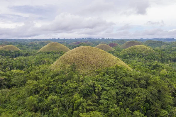 Chocolate Hills Bohol Saari Filippiinit — kuvapankkivalokuva