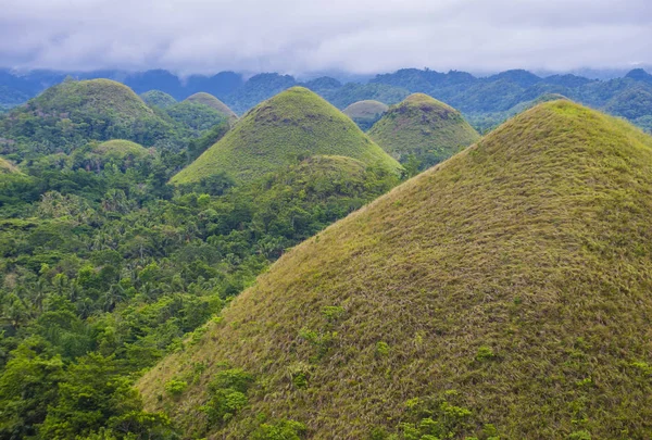 Chocolate Hills Bohol Saari Filippiinit — kuvapankkivalokuva