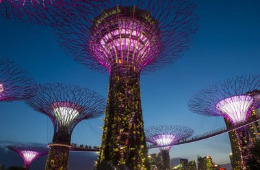 Singapur - 22 Şubat: Singapur Februery 22 2018 üzerinde Bay tarafından bahçelerde Supertrees. Ağaçlar farklı renklerle aydınlatılmış bir müzik ve ışık gösterisi olmasıdır