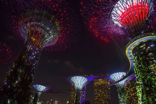 Singapore Feb Supertrees Garden Bay Singapore Februar 2018 Ist Eine — Stockfoto