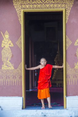 Luang Prabang, Laos - 12 Ağustos 2018: Acemi keşiş Luang Prabang Laos üzerinde 12 Ağustos 2018. Bu yaklaşık 1 içinde 3 erkek Laotians bir manastır en azından bir süre için katılmak tahmin edilmektedir