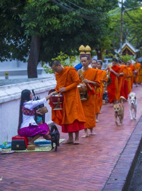 Luang Prabang, Laos - 11 Ağustos 2018: Luang Prabang Laos'ta üzerinde 11 Ağustos 2018 töreni Budist sadaka. Bu yaklaşık 1 içinde 3 erkek Laotians bir manastır katılmak tahmin edilmektedir
