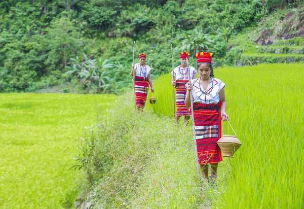 Banaue Filipiny Maja Kobiety Mniejszości Ifugao Pobliżu Tarasy Ryżowe Banaue — Zdjęcie stockowe