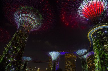 Singapur - 22 Şubat: Singapur Februery 22 2018 üzerinde Bay tarafından bahçelerde Supertrees. Ağaçlar farklı renklerle aydınlatılmış bir müzik ve ışık gösterisi olmasıdır