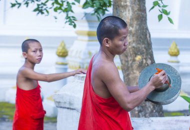 Luang Prabang, Laos - 12 Ağustos 2018: Acemi rahipler Luang Prabang Laos üzerinde 12 Ağustos 2018. Bu yaklaşık 1 içinde 3 erkek Laotians bir manastır en azından bir süre için katılmak tahmin edilmektedir