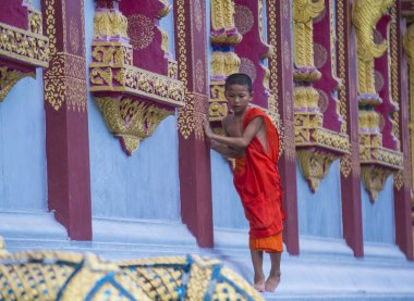 Luang Prabang, Laos - 12 Ağustos 2018: Acemi keşiş Luang Prabang Laos üzerinde 12 Ağustos 2018. Bu yaklaşık 1 içinde 3 erkek Laotians bir manastır en azından bir süre için katılmak tahmin edilmektedir