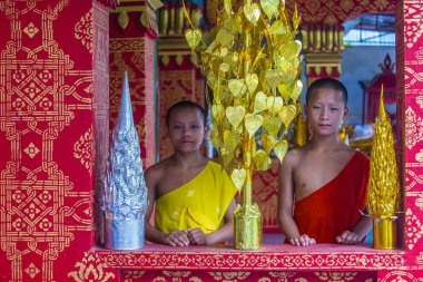 Luang Prabang, Laos - 12 Ağustos 2018: Acemi rahipler Luang Prabang Laos üzerinde 12 Ağustos 2018. Bu yaklaşık 1 içinde 3 erkek Laotians bir manastır en azından bir süre için katılmak tahmin edilmektedir