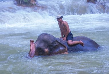 Luang Prabang, Laos - Ağustos 13: Fil banyo Luang Prabang Laos yakınındaki bir fil kampında üzerinde 13 Ağustos 2018. Fil Laos ulusal hayvan olarak kabul edilir