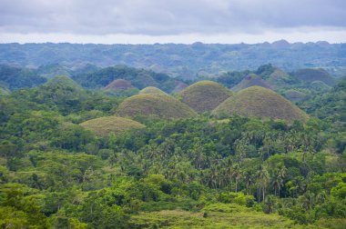 Bohol içinde çikolata hills Filipinler ada